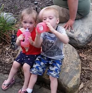 Meet your Posher, Donald